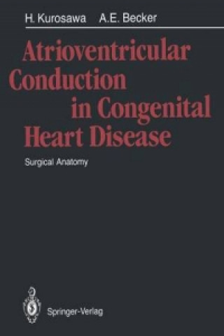 Atrioventricular Conduction in Congenital Heart Disease