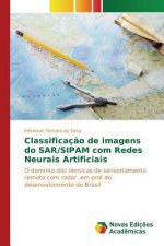 Classificacao de imagens do SAR/SIPAM com Redes Neurais Artificiais