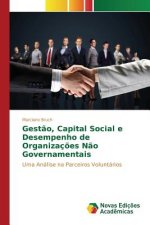 Gestao, Capital Social e Desempenho de Organizacoes Nao Governamentais