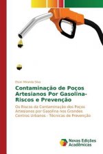 Contaminacao de Pocos Artesianos Por Gasolina-Riscos e Prevencao