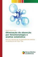 Otimizacao da absorcao por fenomenologia e analise estatistica