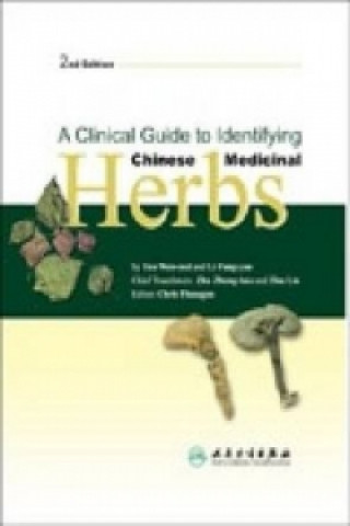 Pictorial Guide to Clinical Observation in Chinese Medicine