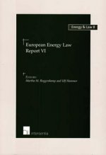 European Energy Law Report VI