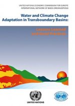 Water and climate change adaptation in transboundary basins