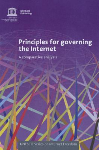 Principles for governing the internet