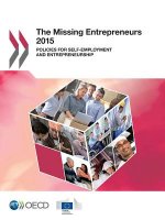 missing entrepreneurs
