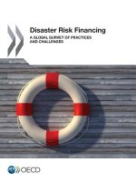 Disaster risk financing