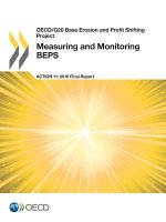 Measuring and monitoring BEPS