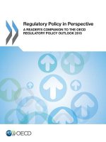Regulatory policy in perspective