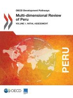 Multi-dimensional review of Peru