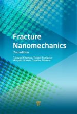 Fracture Nanomechanics