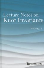 Lecture Notes On Knot Invariants