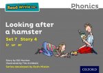 Read Write Inc. Phonics: Grey Set 7 Storybook 4 Looking After a Hamster