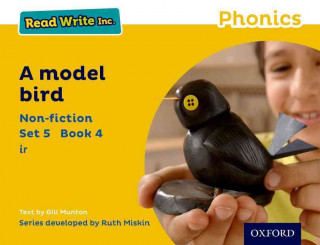 Read Write Inc. Phonics: Yellow Set 5 Non-fiction 4 A Model Bird