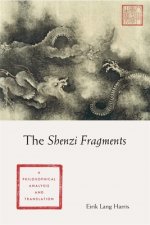 Shenzi Fragments