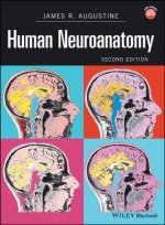 Human Neuroanatomy 2e
