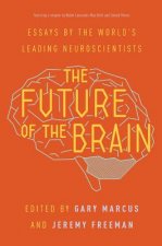 Future of the Brain