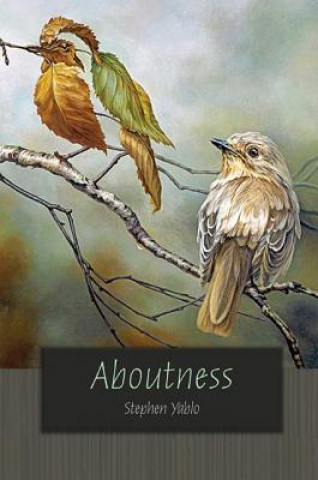 Aboutness