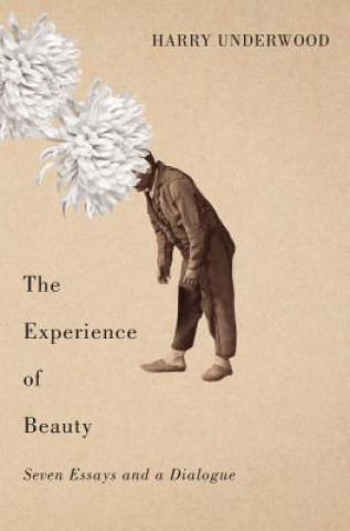 Experience of Beauty
