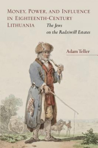 Money, Power, and Influence in Eighteenth-Century Lithuania