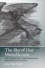 Sky of Our Manufacture