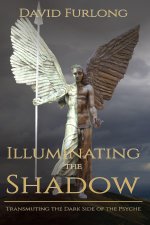 ILLUMINATING THE SHADOW
