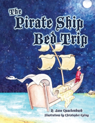 Pirate Ship Bed Trip