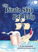 Pirate Ship Bed Trip