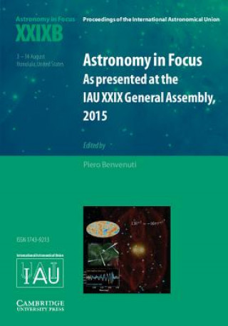Astronomy in Focus XXIXB