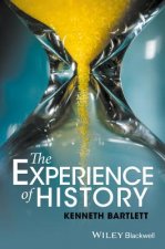 Experience of History