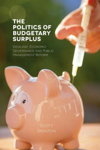 Politics of Budgetary Surplus
