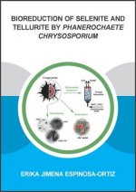 Bioreduction of Selenite and Tellurite by Phanerochaete Chrysosporium