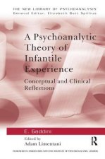 Psychoanalytic Theory of Infantile Experience