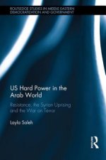 US Hard Power in the Arab World