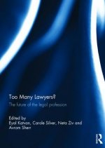 Too Many Lawyers?