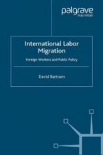 International Labour Migration