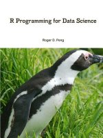 R Programming for Data Science