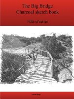 Fifth Big Bridge Charcoal Sketch Book Series