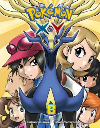 Pokemon X*Y, Vol. 8 (HIDENORI KUSAKA)(Puha kötésű)