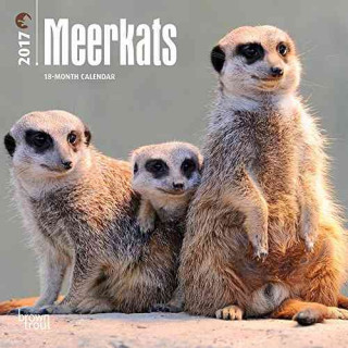 MEERKATS 2017 MINI WALL CALENDAR