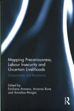 Mapping Precariousness, Labour Insecurity and Uncertain Livelihoods