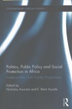 Politics, Public Policy and Social Protection in Africa
