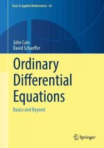 Ordinary Differential Equations: Basics and Beyond