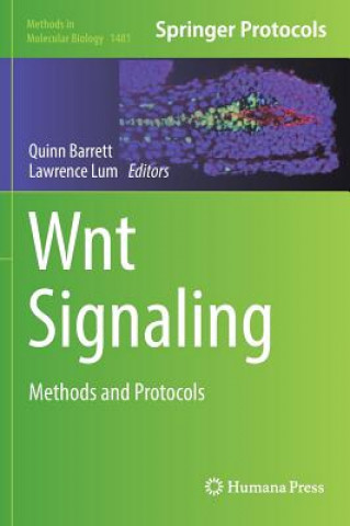 Wnt Signaling