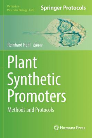 Plant Synthetic Promoters