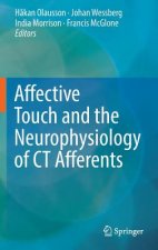 Affective Touch and the Neurophysiology of CT Afferents