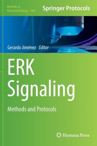 ERK Signaling