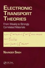 Electronic Transport Theories