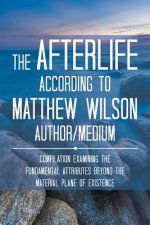 Afterlife According to Matthew Wilson Author/Medium