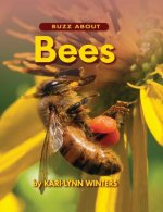 Buzz About Bees*****************